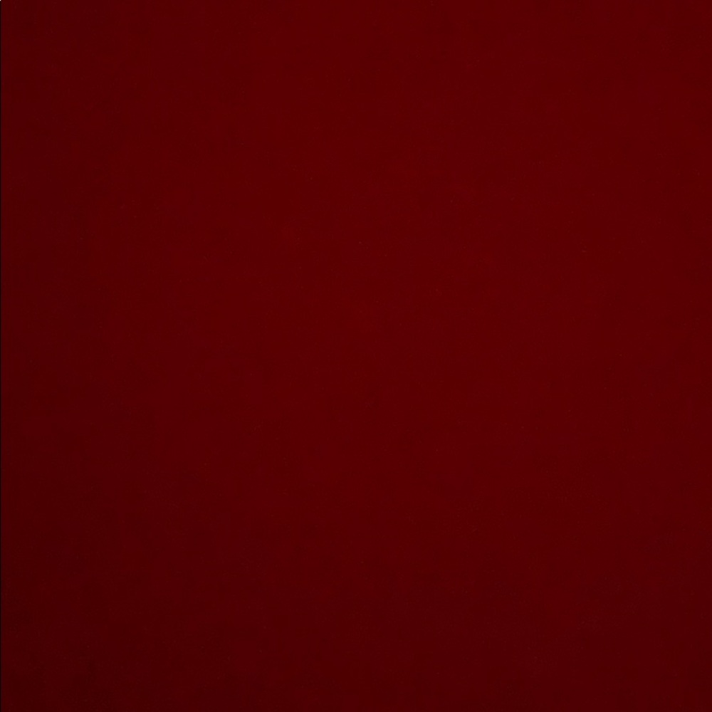 Meet your Posher, Leonard